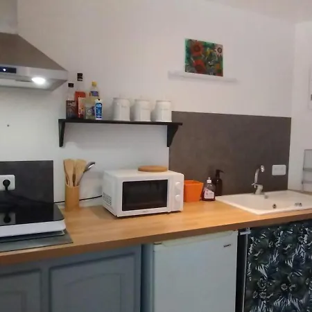 Le Gabizos Apartment Mirepeix (Pyrenees-Atlantiques)